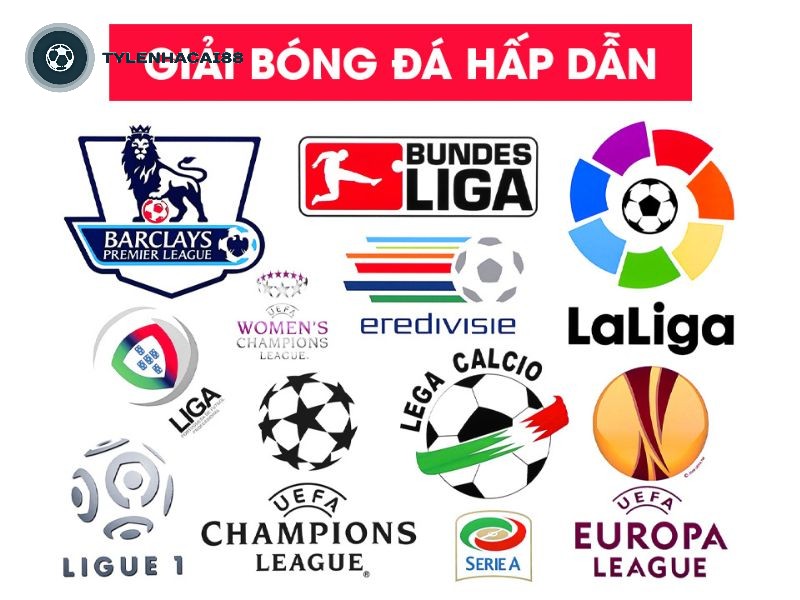 Các giải VĐQG cấp CLB hàng đầu