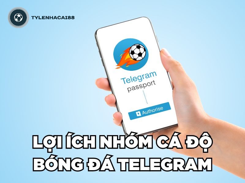 Lợi ích nhóm cá độ bóng đá Telegram