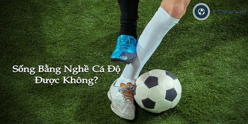 Lợi nhuận từ thầu bóng đá là gì
