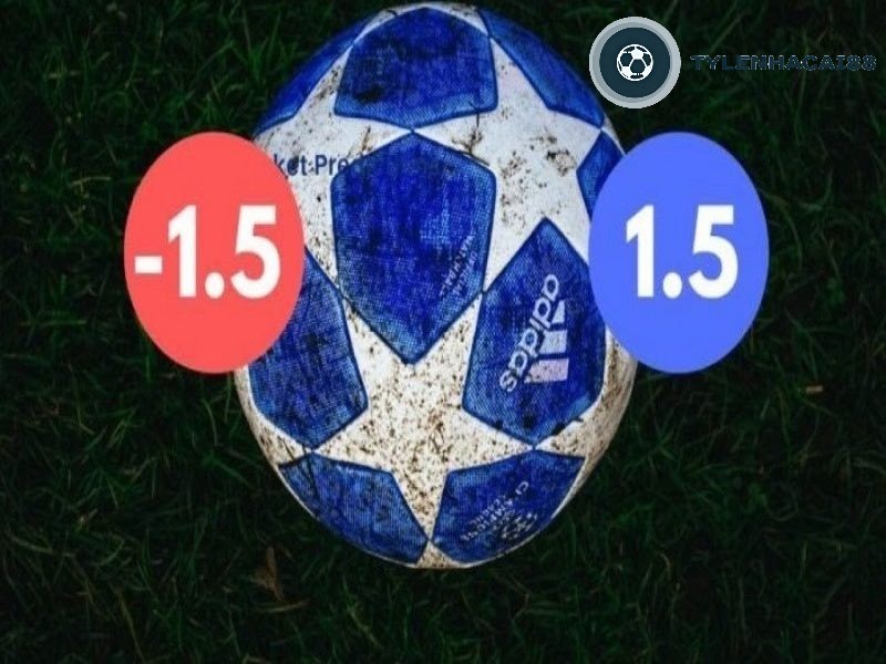 Nhà cái phân tích thông tin trước khi ra kèo