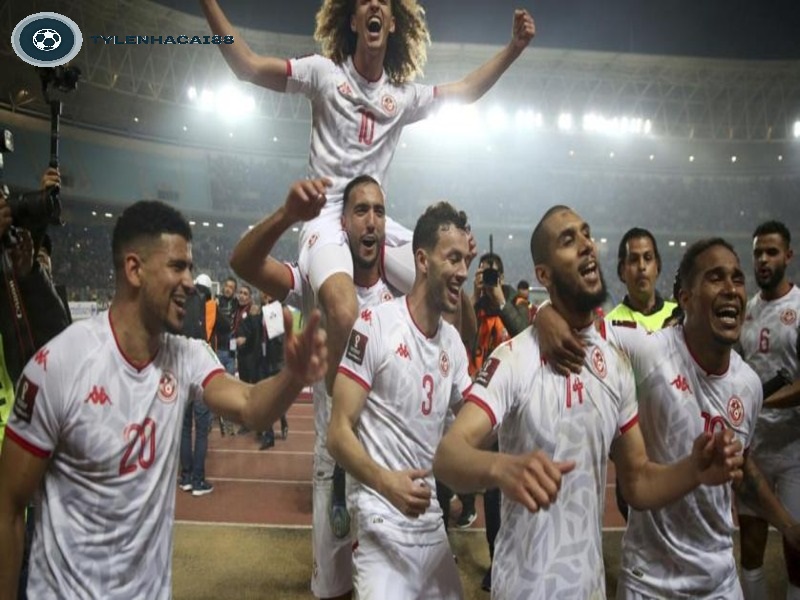 Những thành tích của đội tuyển bóng đá Tunisia