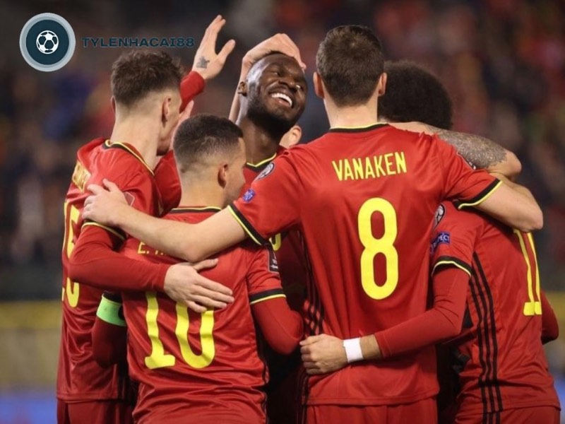 Belgium sở hữu nhiều cầu thủ nổi tiếng trên thế giới