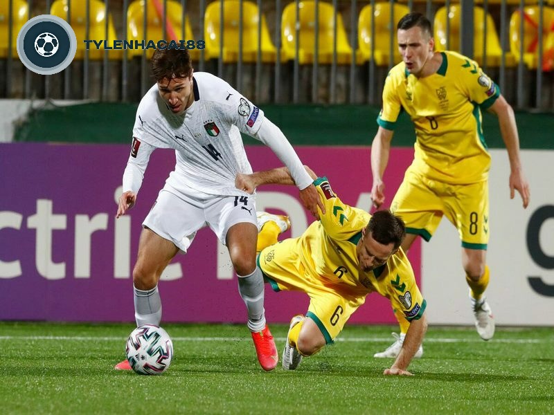 Đội hình thi đấu của đội tuyển bóng đá Lithuania