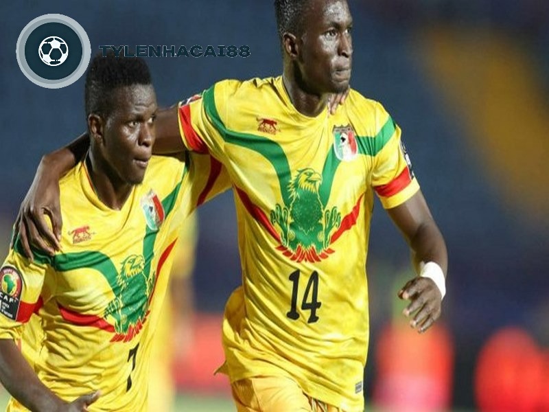 Đội hình thi đấu hiện tại cả Mauritania sở hữu nhiều cầu thủ trẻ triển vọng