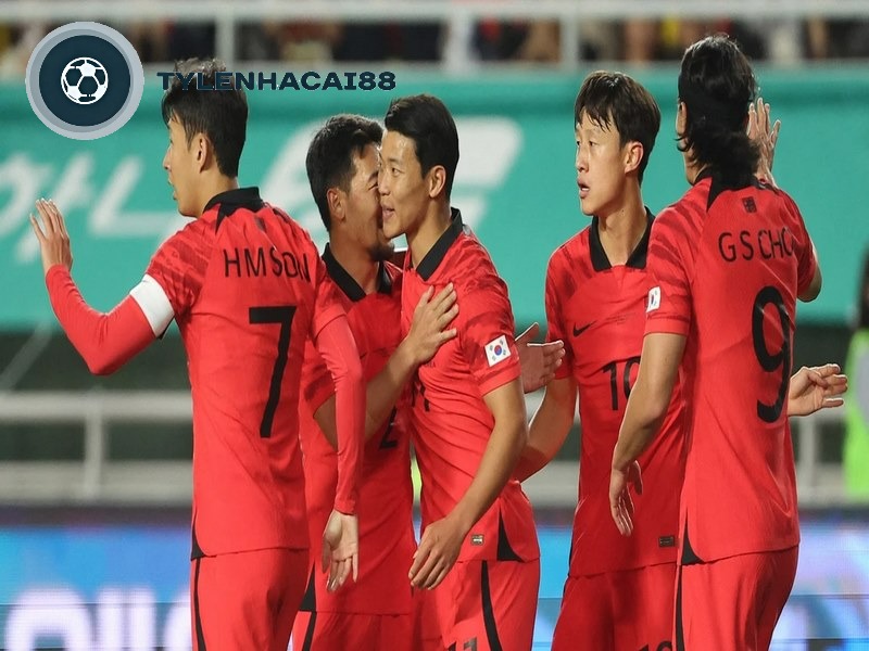 Đội tuyển bóng đá Korea được coi là biểu tượng tự hào của đất nước Hàn Quốc