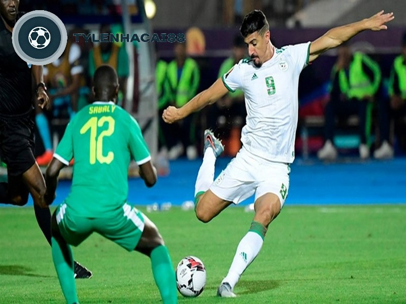 Đội tuyển bóng đá Sierra Leone được biết đến với biệt danh Leone Stars