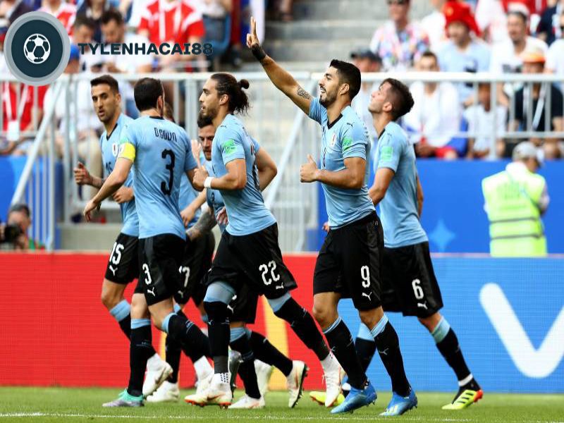 Một vài thông tin thú vị về tuyển Uruguay