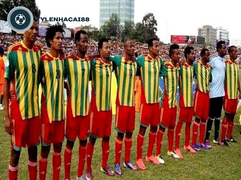 Tại World Cup đã giúp cho đội bóng tích lũy thêm nhiều kinh nghiệm giá trị