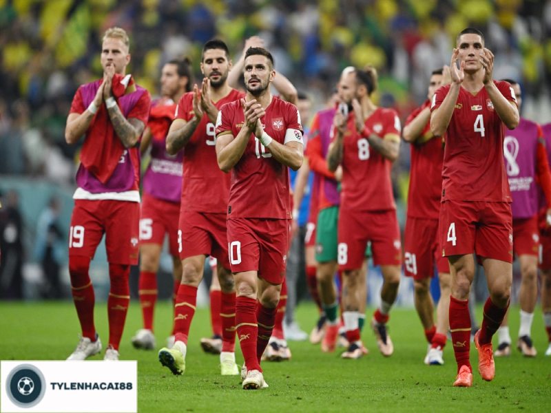 Tổng quan về sự phát triển của tuyền Serbia
