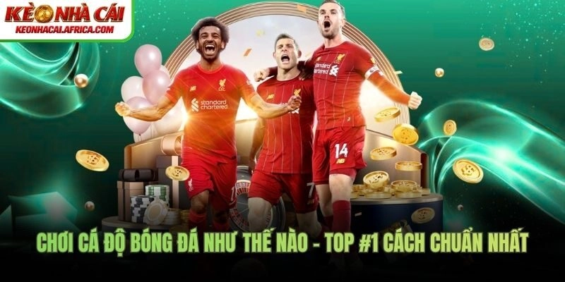 Chơi cá độ bóng đá như thế nào